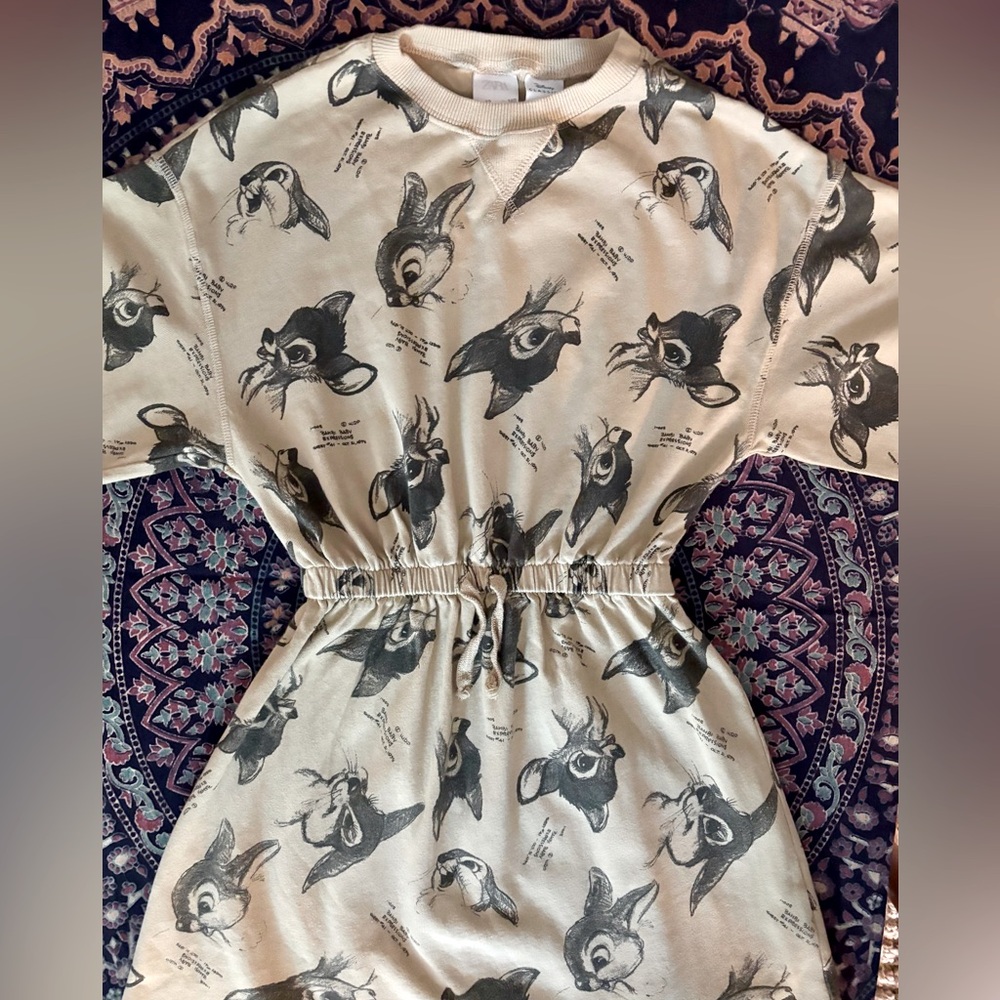Zara +Disney Animal Print Dress